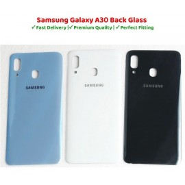 Samsung Galaxy A30 Back Glass