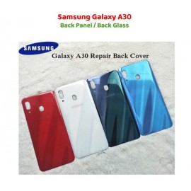Samsung Galaxy A30 Back Glass