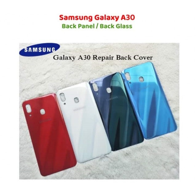 Samsung Galaxy A30 Back Glass